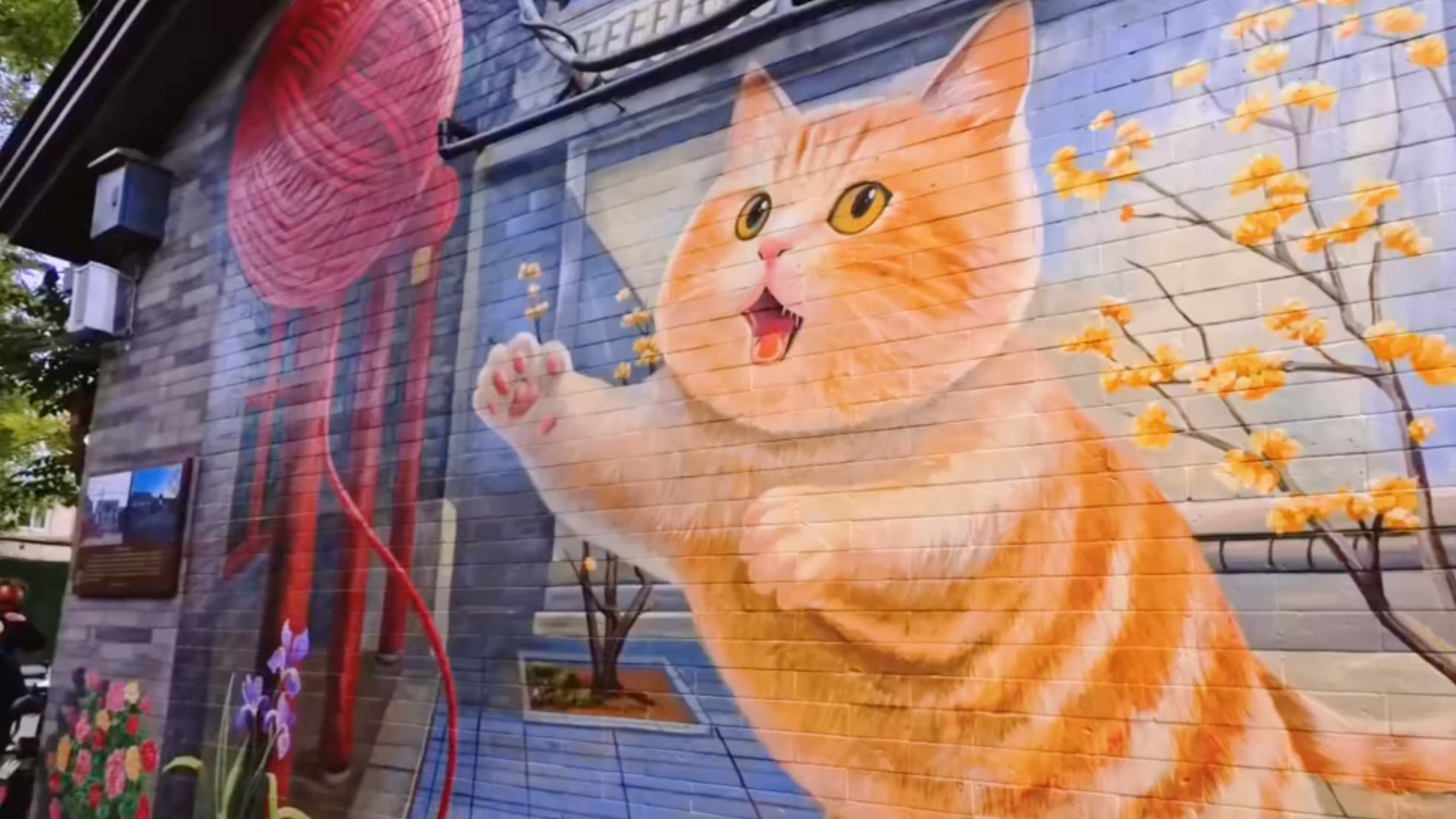 北京国庆节好去处！胡同里的猫猫街一日游！好逛好拍很好看！