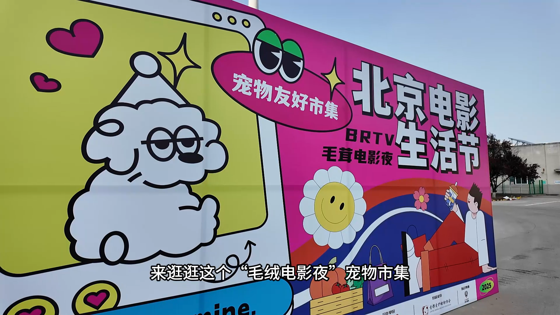 可可爱爱的“毛茸电影夜”宠物市集来了  带着毛孩子看电影，走起~