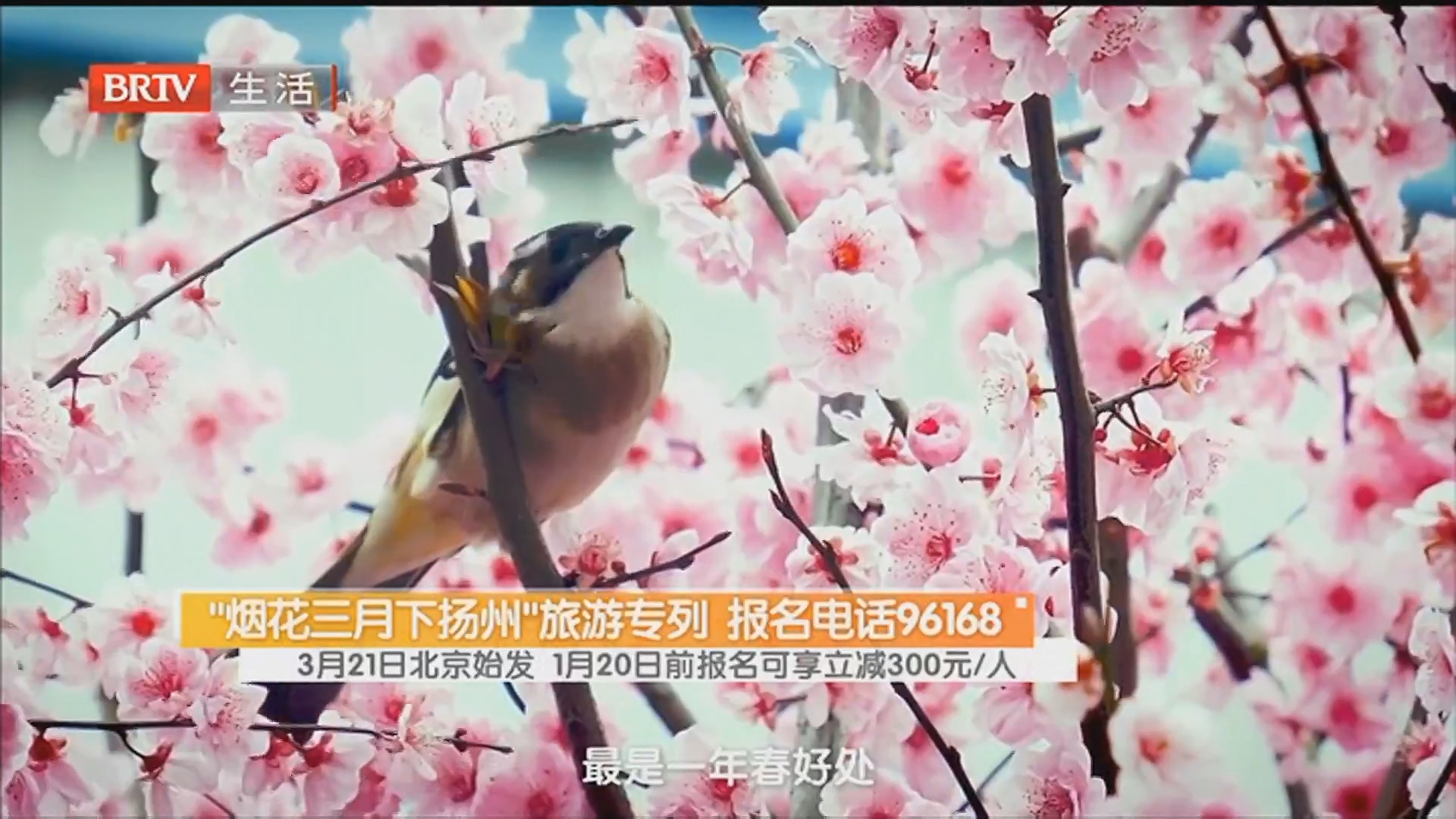 “烟花三月下扬州”旅游专列 报名电话96168 3月21日北京始发 1月20日前报名可享立减300元/人