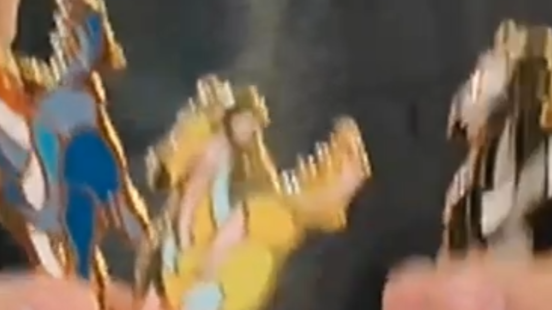 把一级品“大奔马”带回家