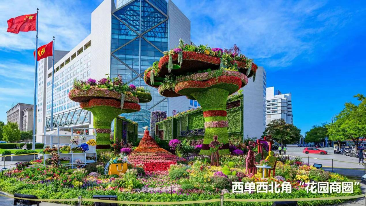 “花”式祝福礼赞祖国!一串红新品种扮靓国庆长安街花坛 “花”式祝福礼赞祖国!一串红新品种扮靓国庆长安街花坛