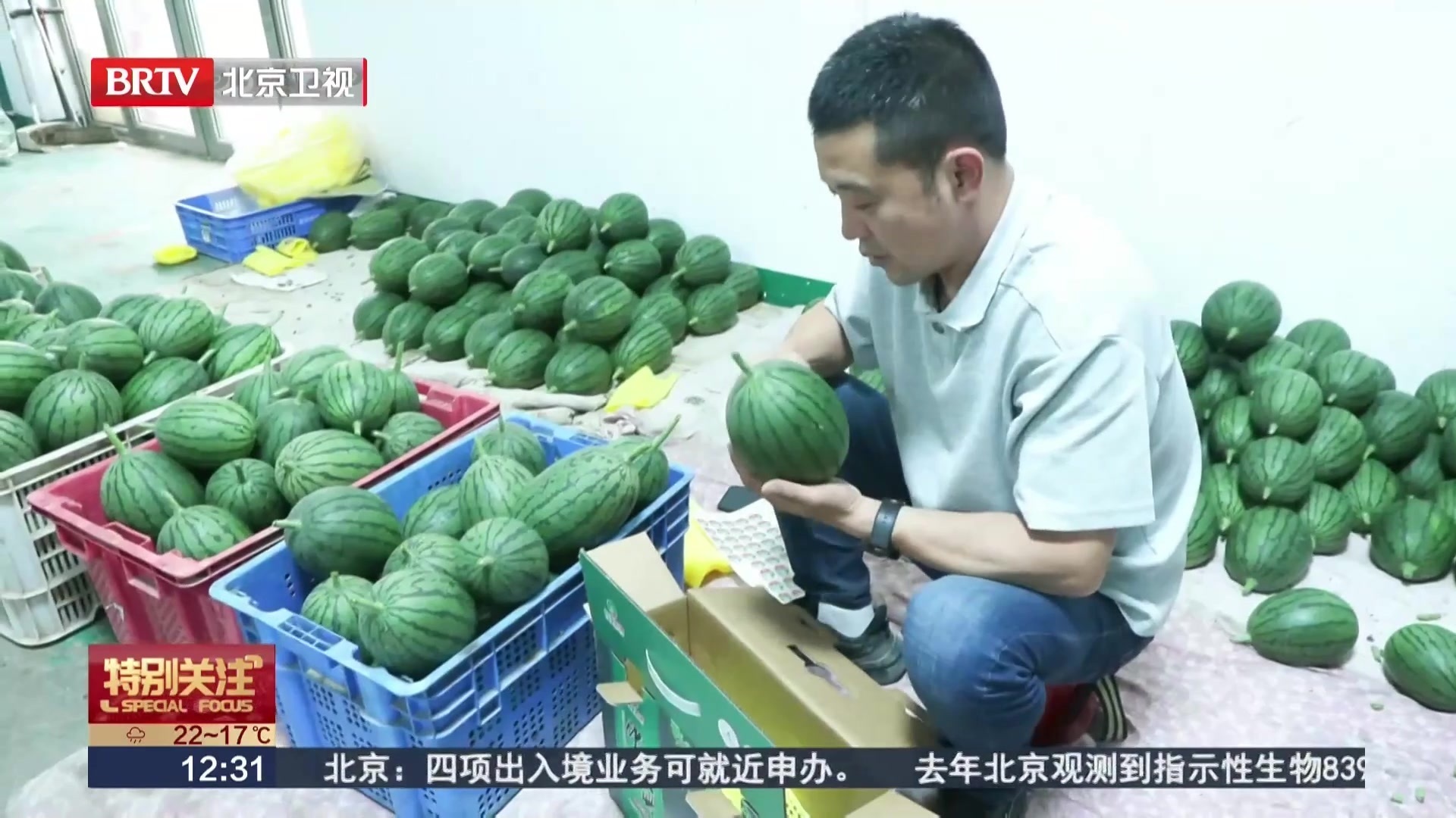 大量集中上市！水果“不甜就是低糖”吗？