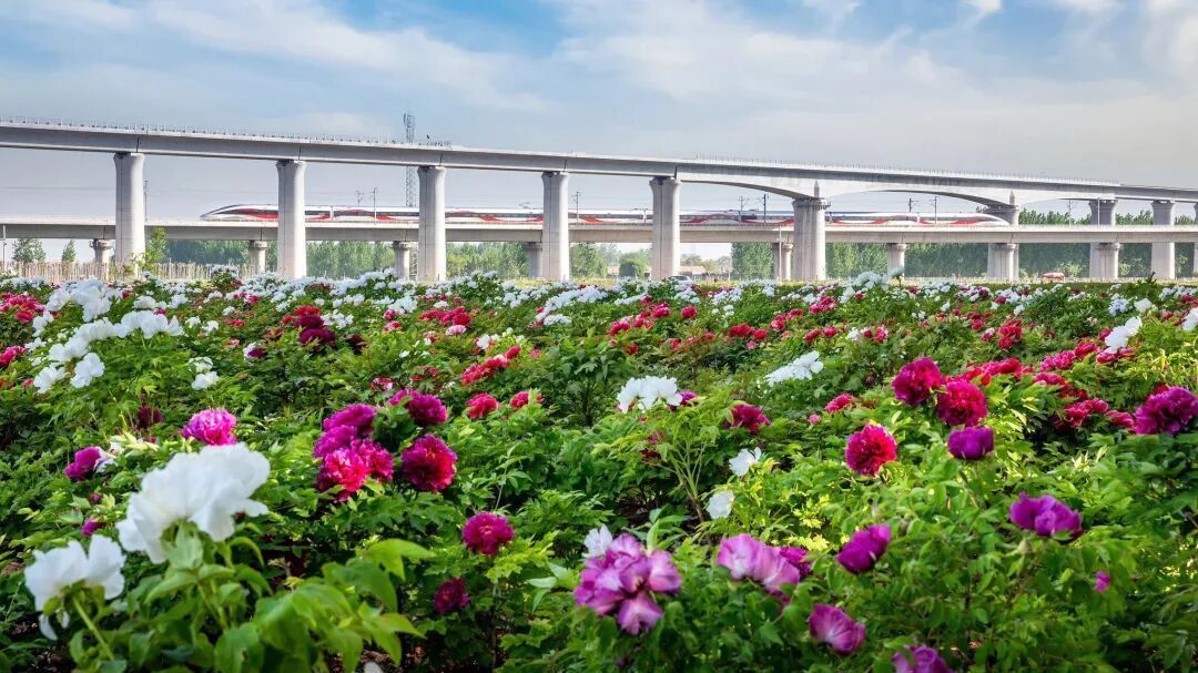 五一假期购票小闹钟⏰:火车今天开票,航班这些取消—— 五一假期购票小闹钟⏰:火车今天开票,航班这些取消——