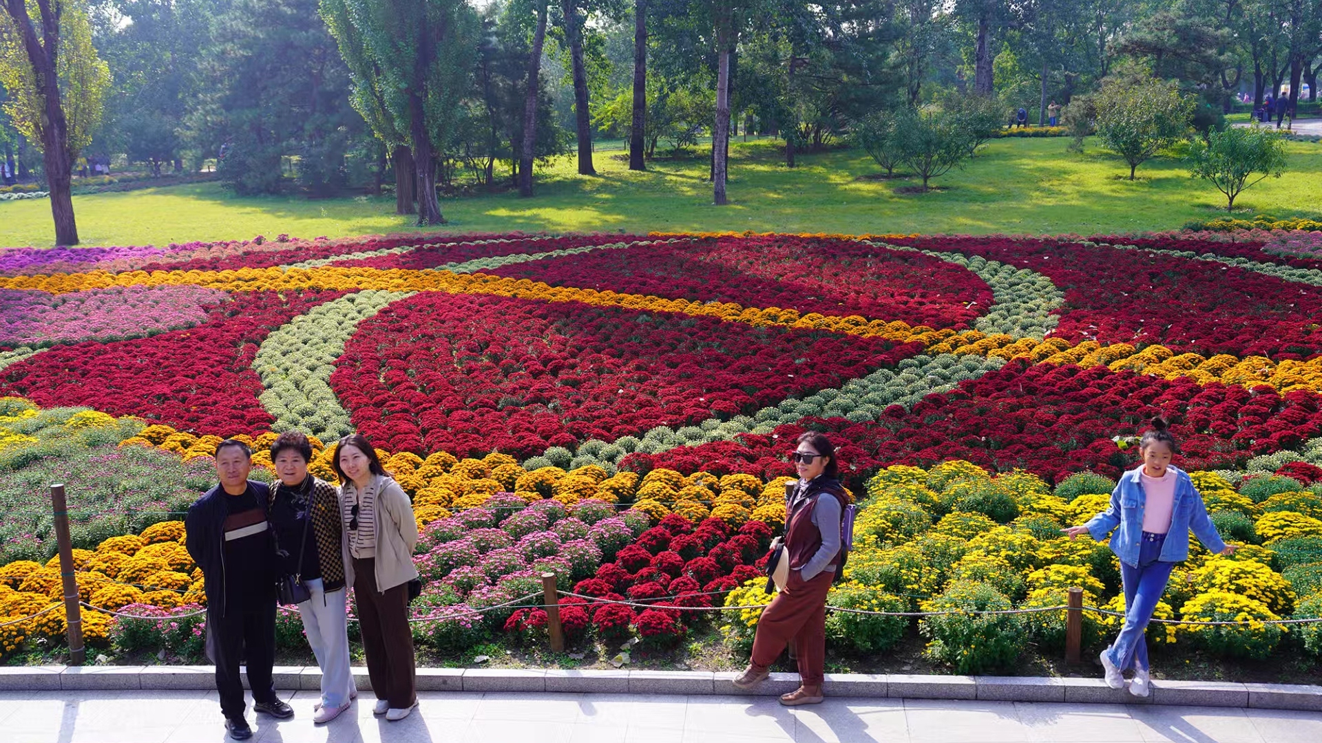 市属公园花坛将摆至10月下旬 可“错峰”观赏 市属公园花坛将摆至10月下旬 可“错峰”观赏