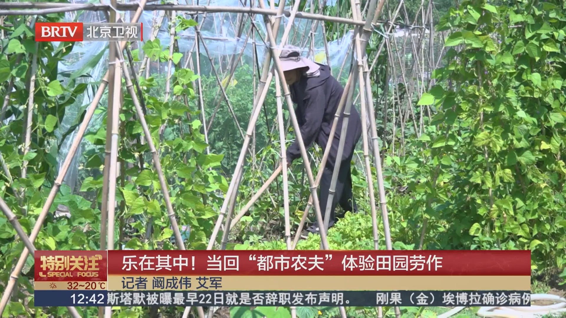 乐在其中！当回“都市农夫”体验田园劳作
