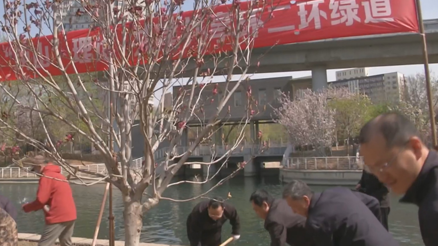 为二环添新绿 东城区十万人植树尽责