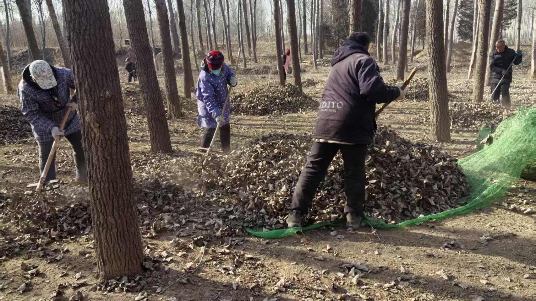赞！北京60余万人清扫街巷、整治死角，用全民合力擦亮首都颜值