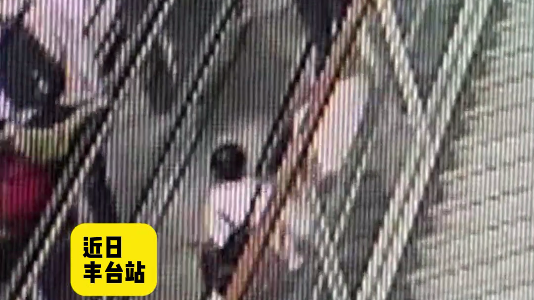 旅客乘扶梯哮喘发作晕倒，丰台站工作人员教科书式救助