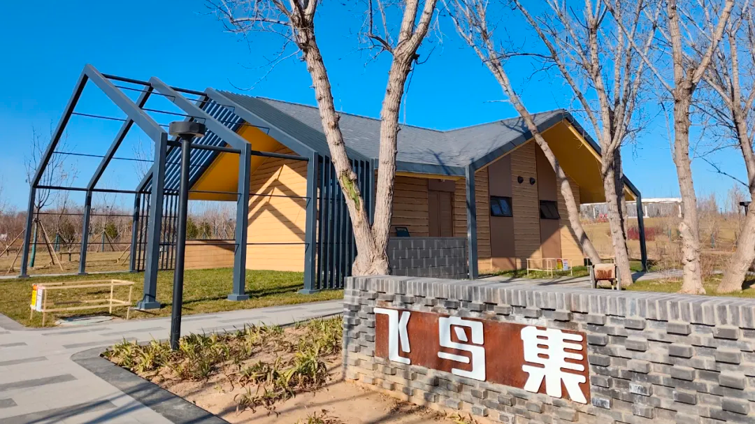 北京首个“飞鸟集”观鸟主题公园正式开放