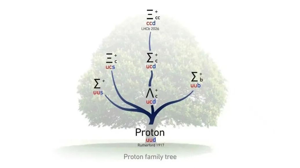 国科大团队领衔!发现全新粒子—— 国科大团队领衔!发现全新粒子——