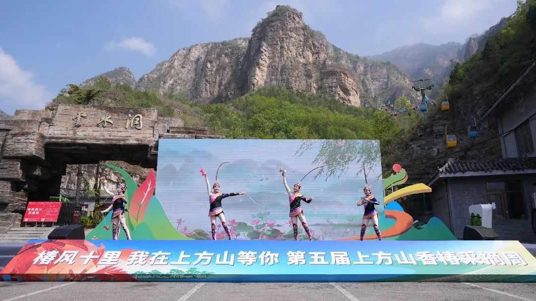 香椿产业织就乡村锦色,韩村河镇“农文旅”共绘振兴新篇 香椿产业织就乡村锦色,韩村河镇“农文旅”共绘振兴新篇