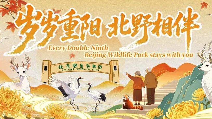 本周末重阳节，成人陪伴老人同行，老人免费入园！
