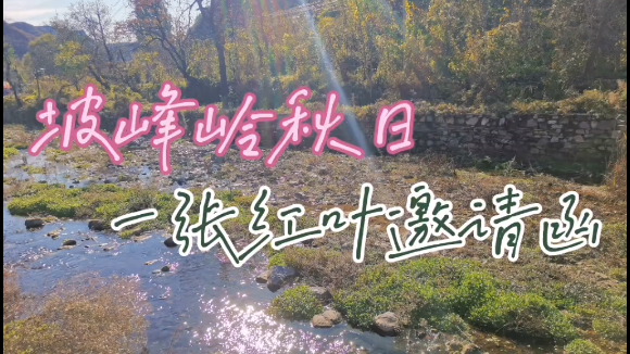 青春笔触下的房山:坡峰岭,赴一场深秋的红叶之约 青春笔触下的房山:坡峰岭,赴一场深秋的红叶之约
