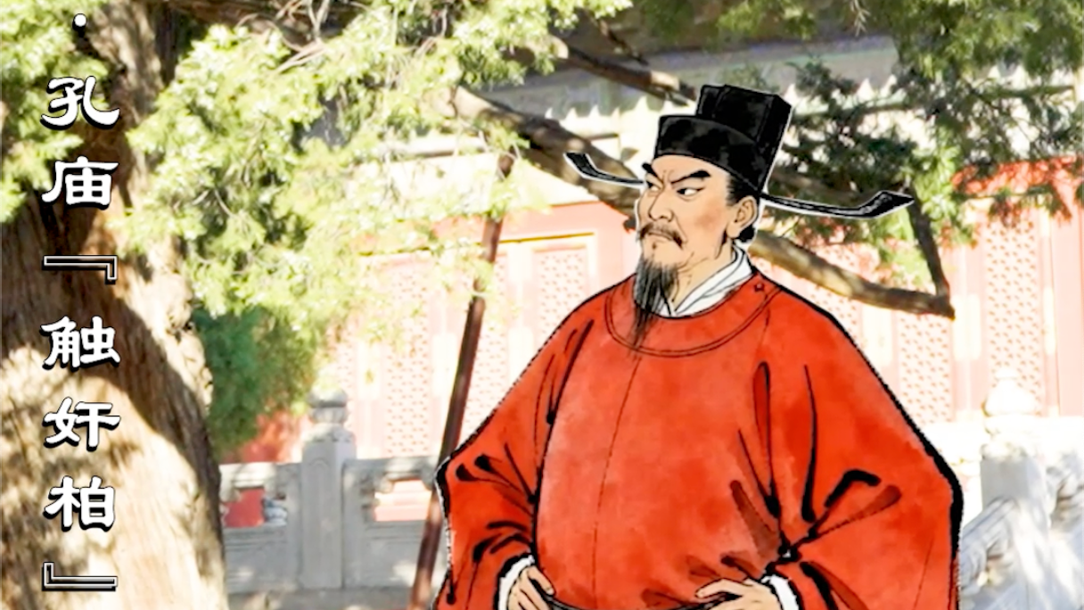 《三弦说古树》之「触奸柏」「遮荫侯」「九龙柏」#北京范儿#京味烟火