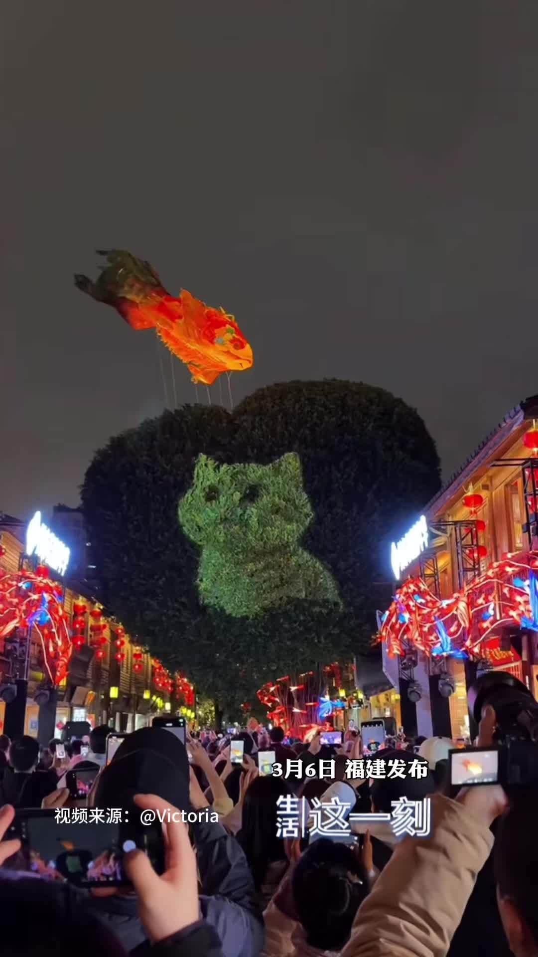 福鱼升空遇上猫咪灯光 福建夜空上演梦幻一幕 福鱼升空遇上猫咪灯光 福建夜空上演梦幻一幕