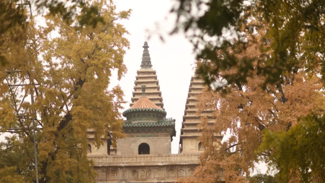 北京再添新“网红”！30处2025新晋网红打卡地发布