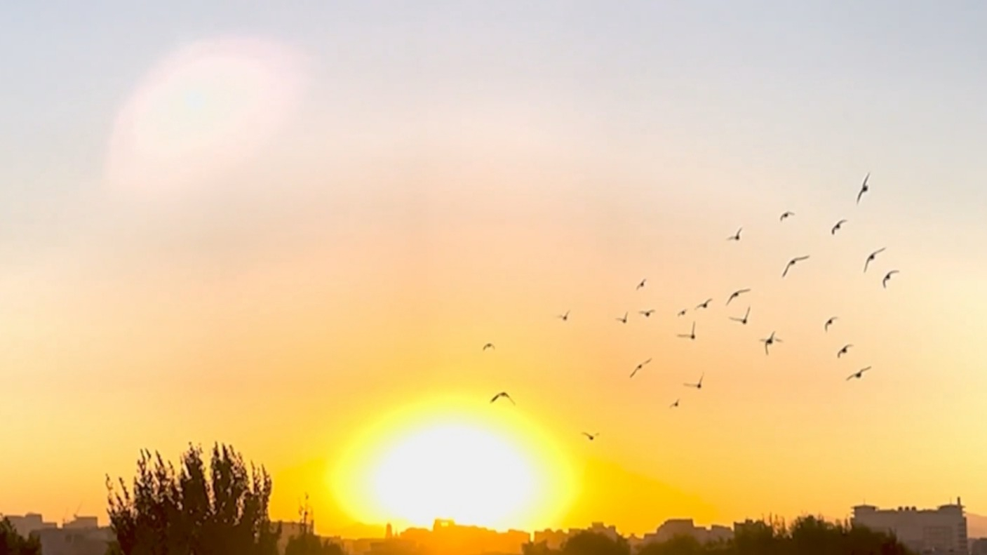 纪录片《春风习习的地方》7月10日晚播出第八集 纪录片《春风习习的地方》7月10日晚播出第八集