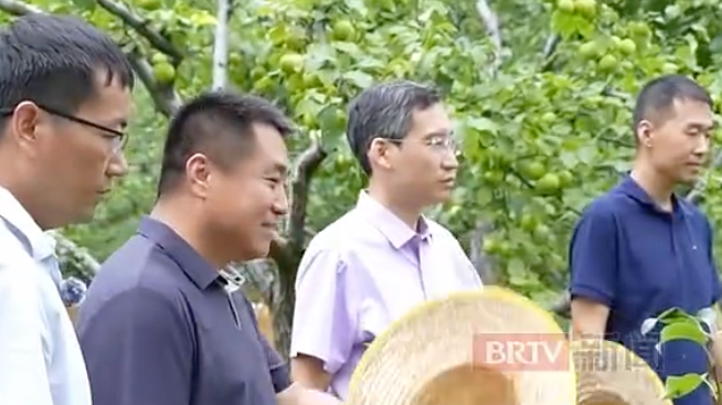 “第一书记”拍了拍你说：吃梨吗？我“代言”的那种