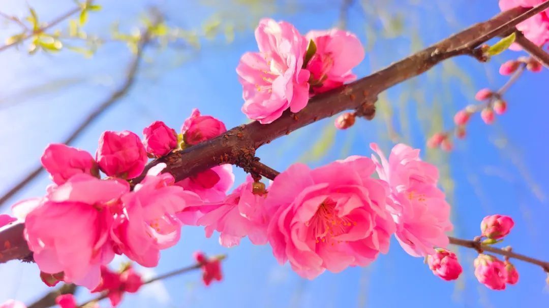 大风黄色预警中 多风干燥天气持续