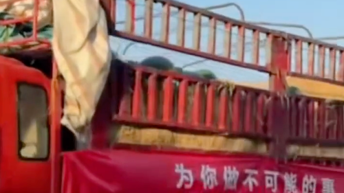 吴克群回应派发西瓜被指作秀