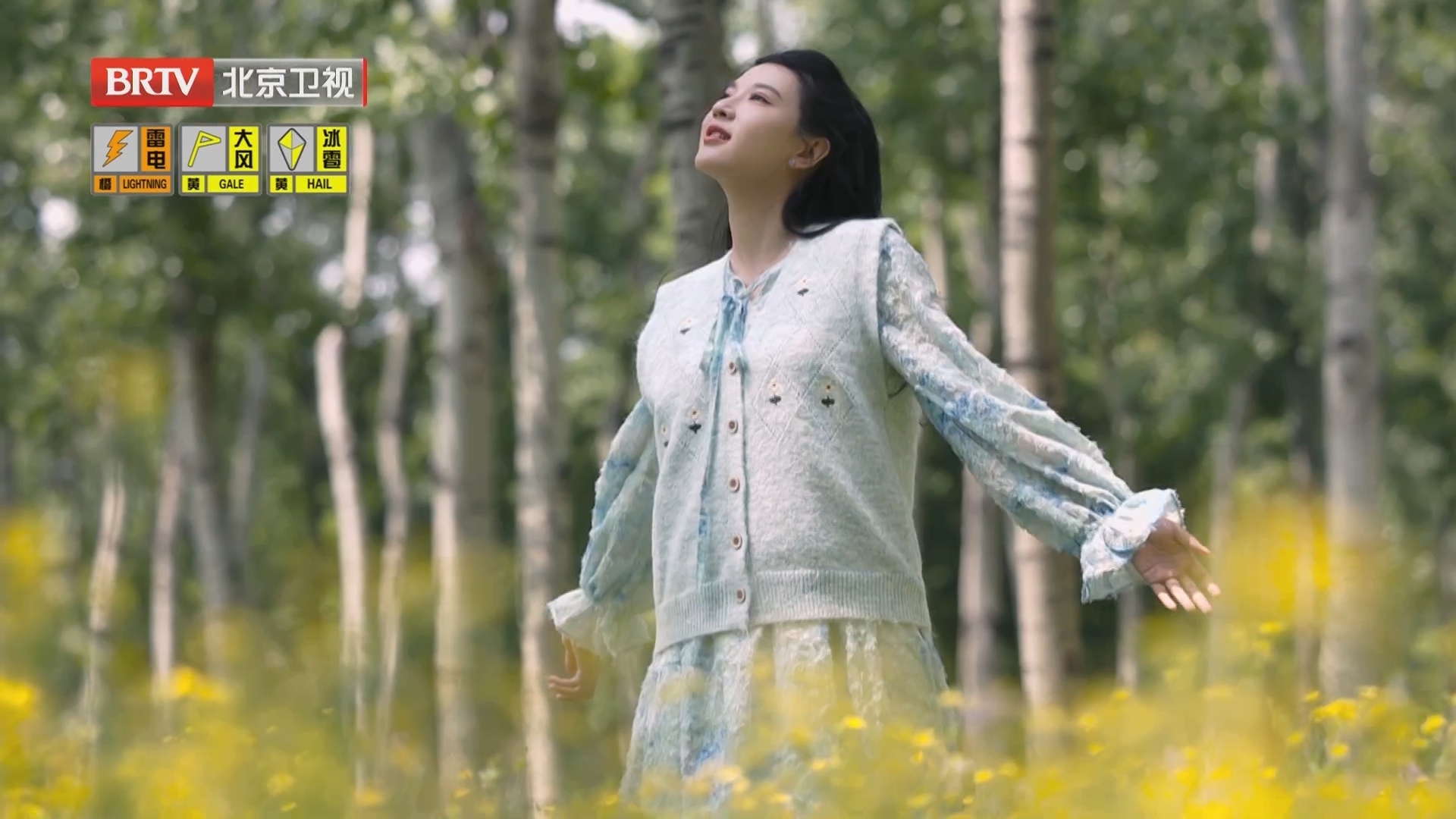 《一米花园》20250516