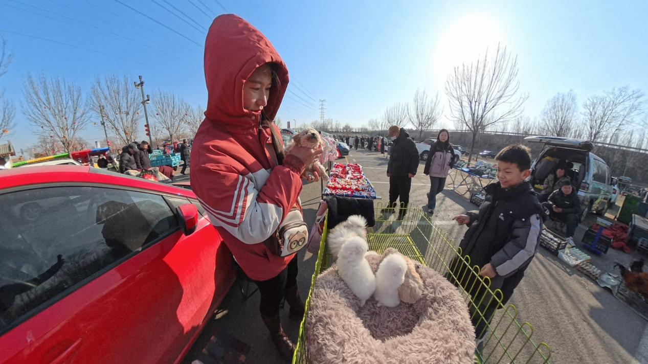 新春走基层｜“毛孩子”带火小镇经济