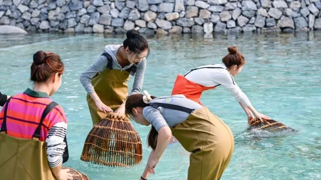 十一长假来昌平兴寿,钓鱼、约饭、逛市集! 十一长假来昌平兴寿,钓鱼、约饭、逛市集!