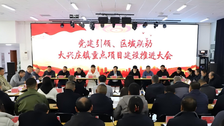 大兴庄镇召开“党建引领 区域联动”重点项目建设推进会
