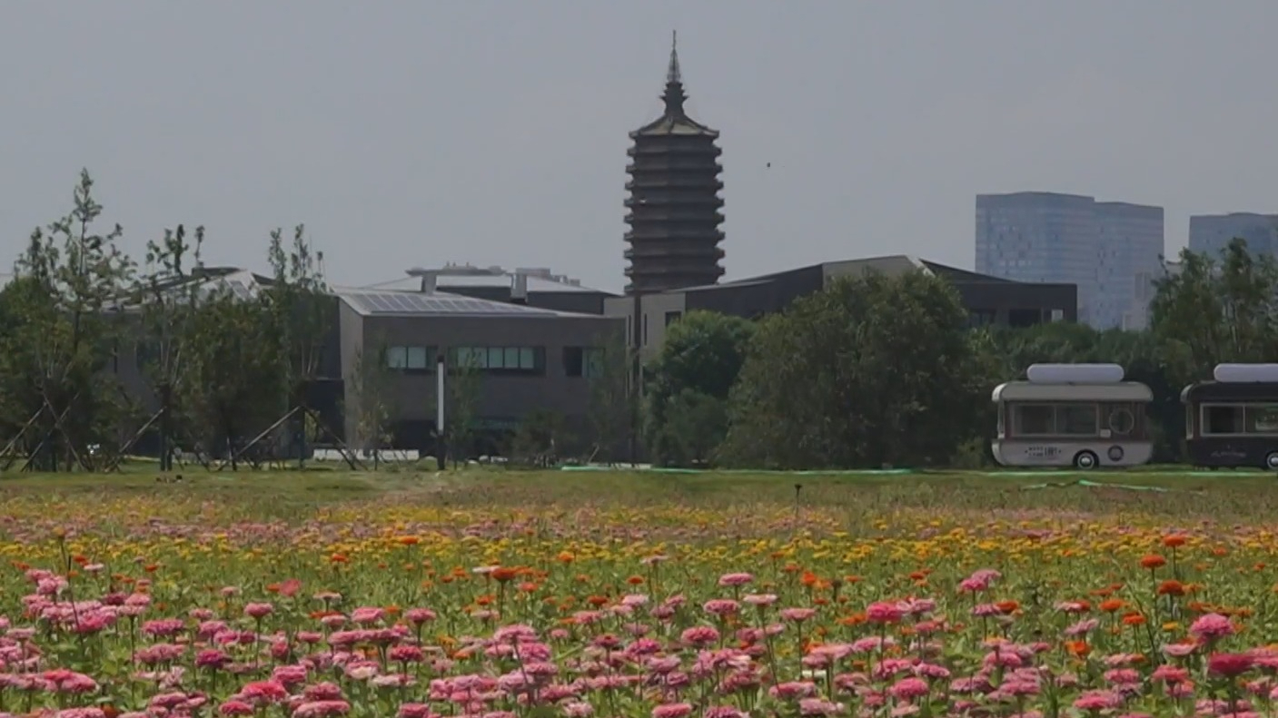 千顷花海“穿针引线” 织就花园城市夏日消费新图景 千顷花海“穿针引线” 织就花园城市夏日消费新图景