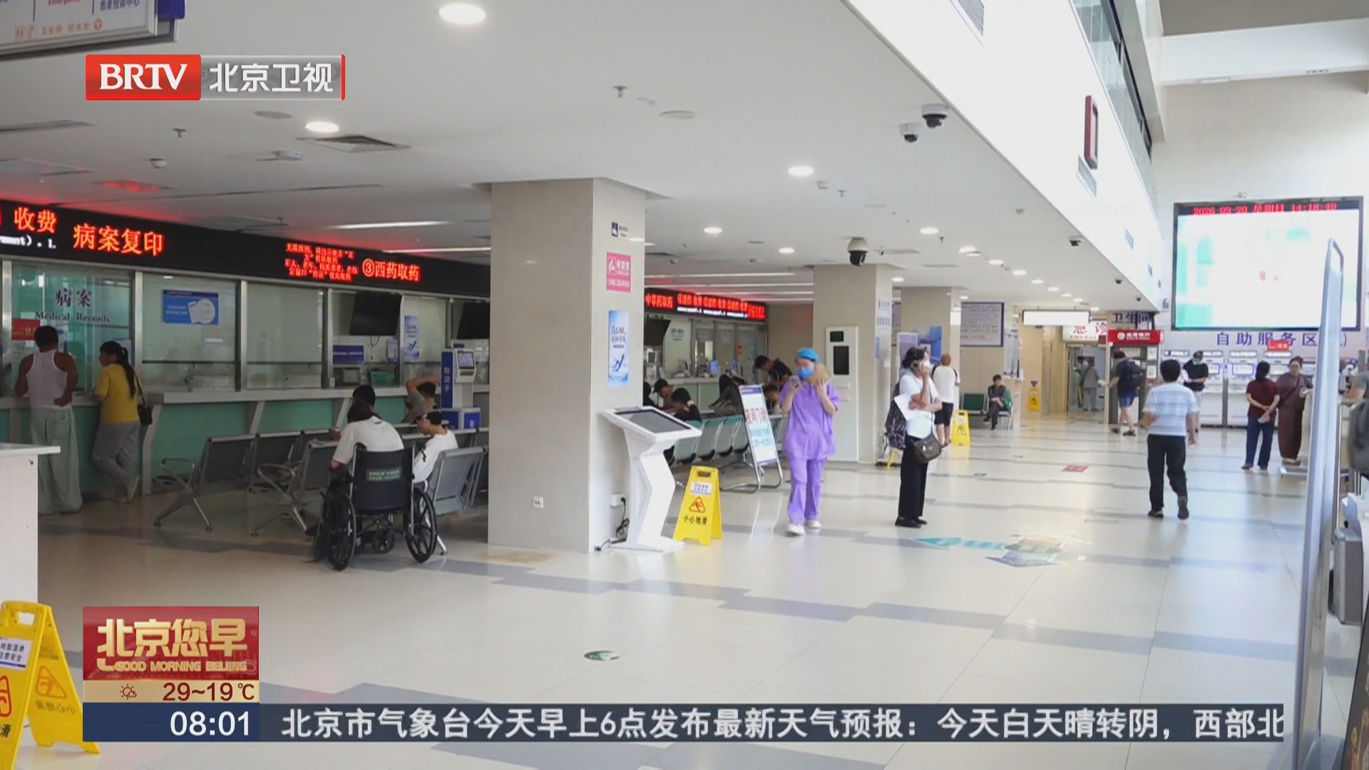 北京频现隐翅虫 专家提醒市民科学防范