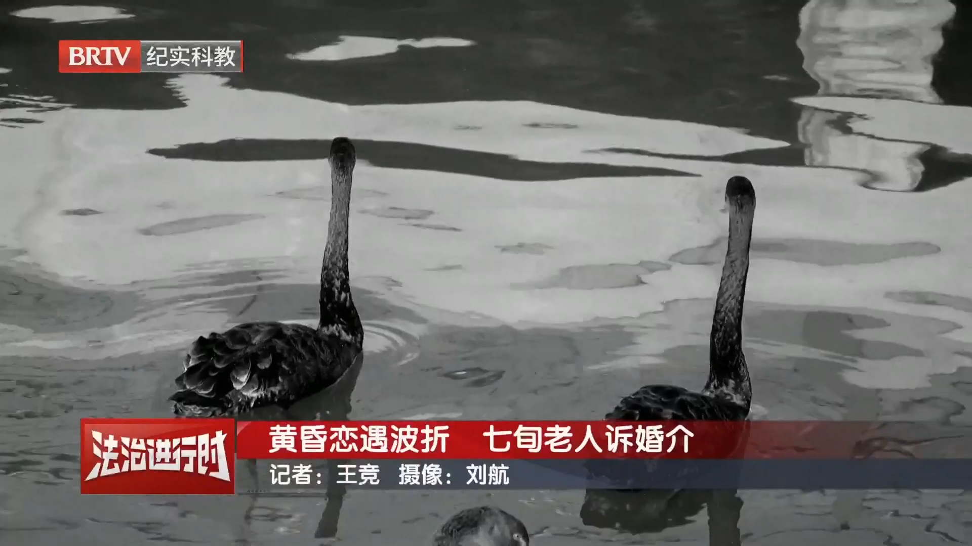《法治进行时》20261029 《法治进行时》20261029