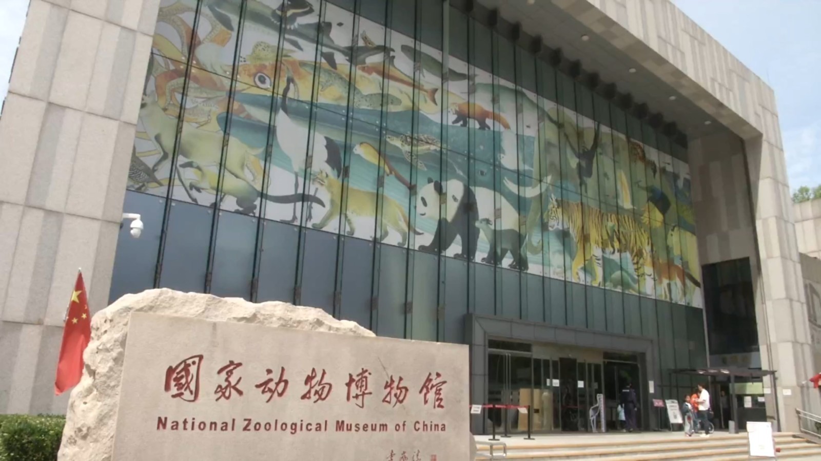 打卡城市新密码国家动物博物馆