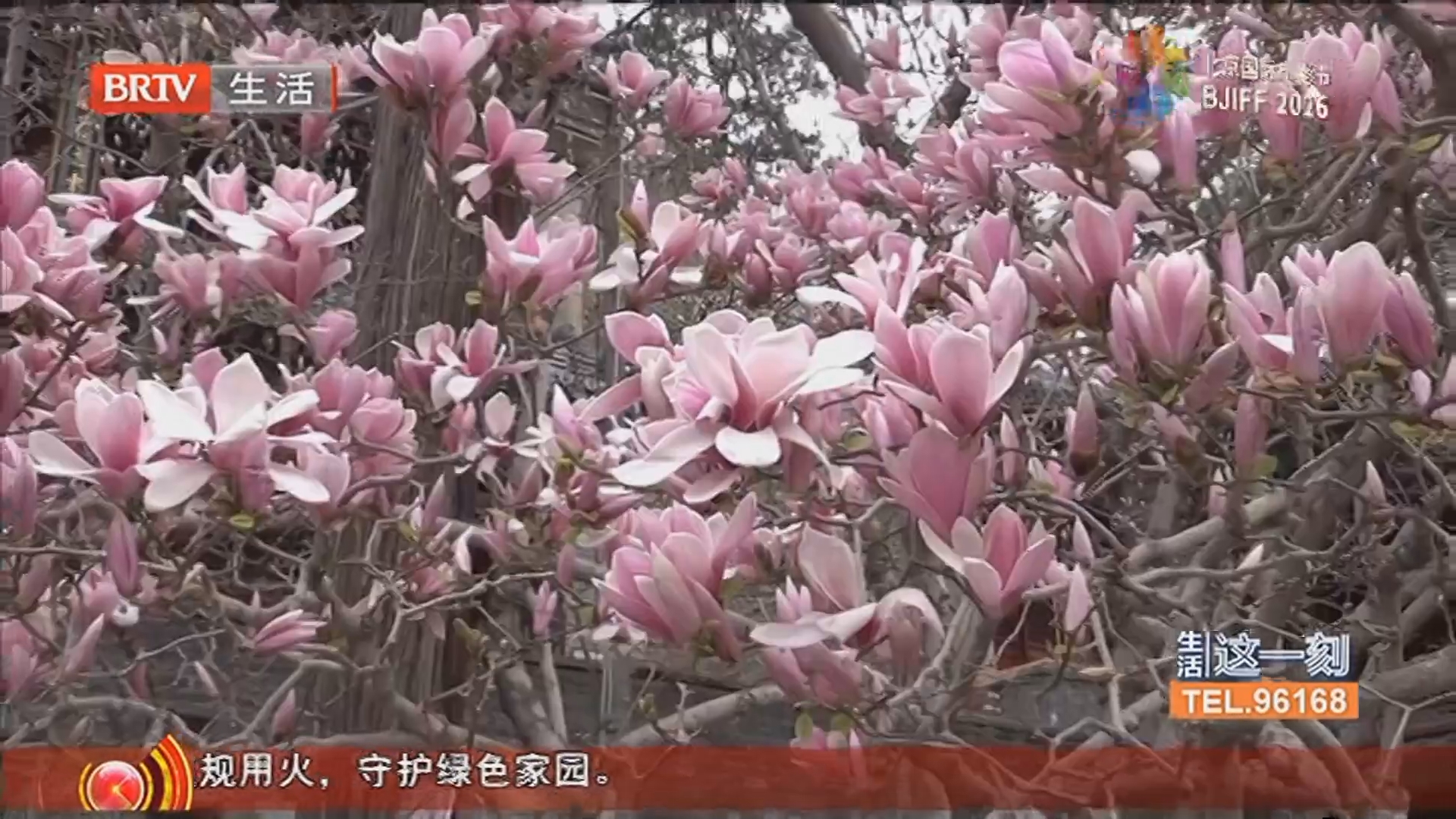 《生活这一刻》20260405