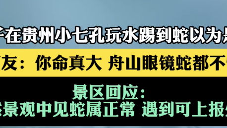 女子在贵州小七孔玩水踢到蛇以为是鱼 网友：命真大 舟山眼镜蛇都不怕