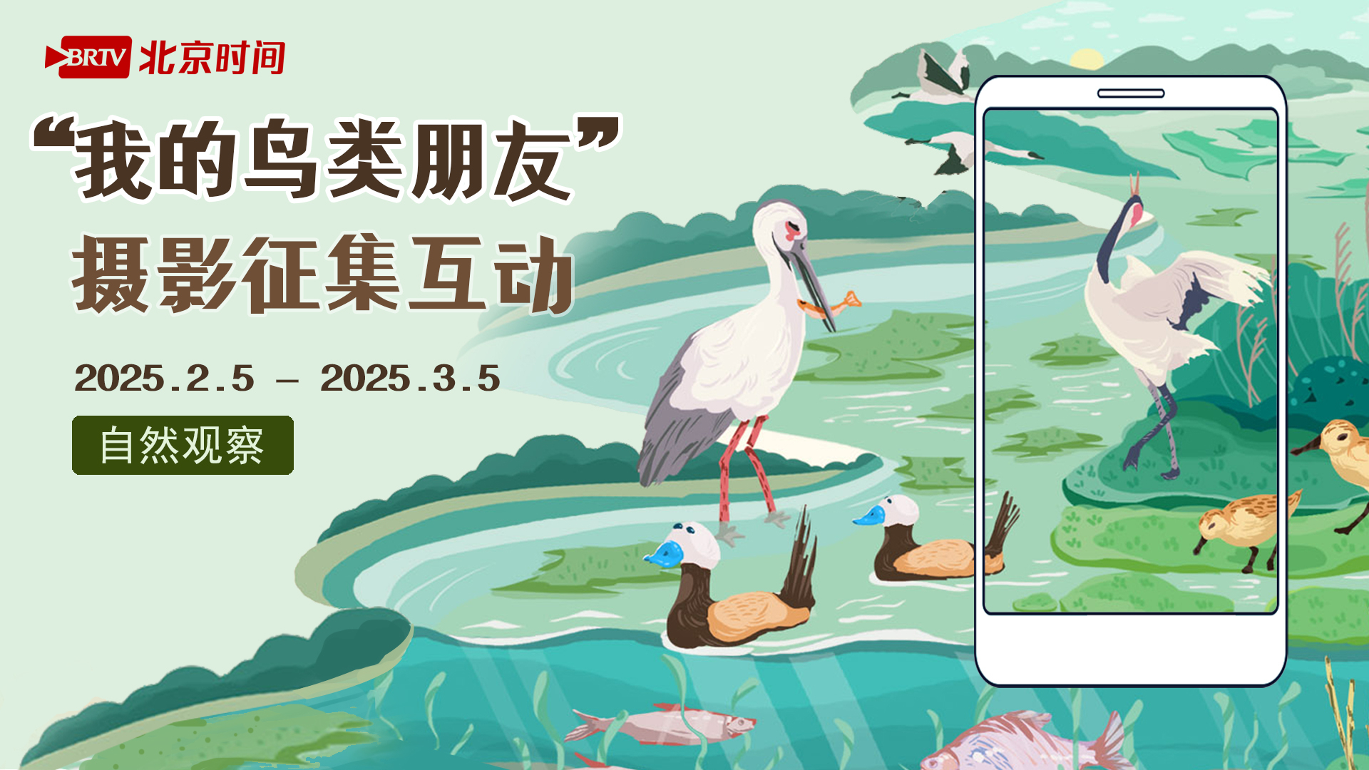 精彩图集丨“我的鸟类朋友”摄影征集互动活动人气作品 TOP5！