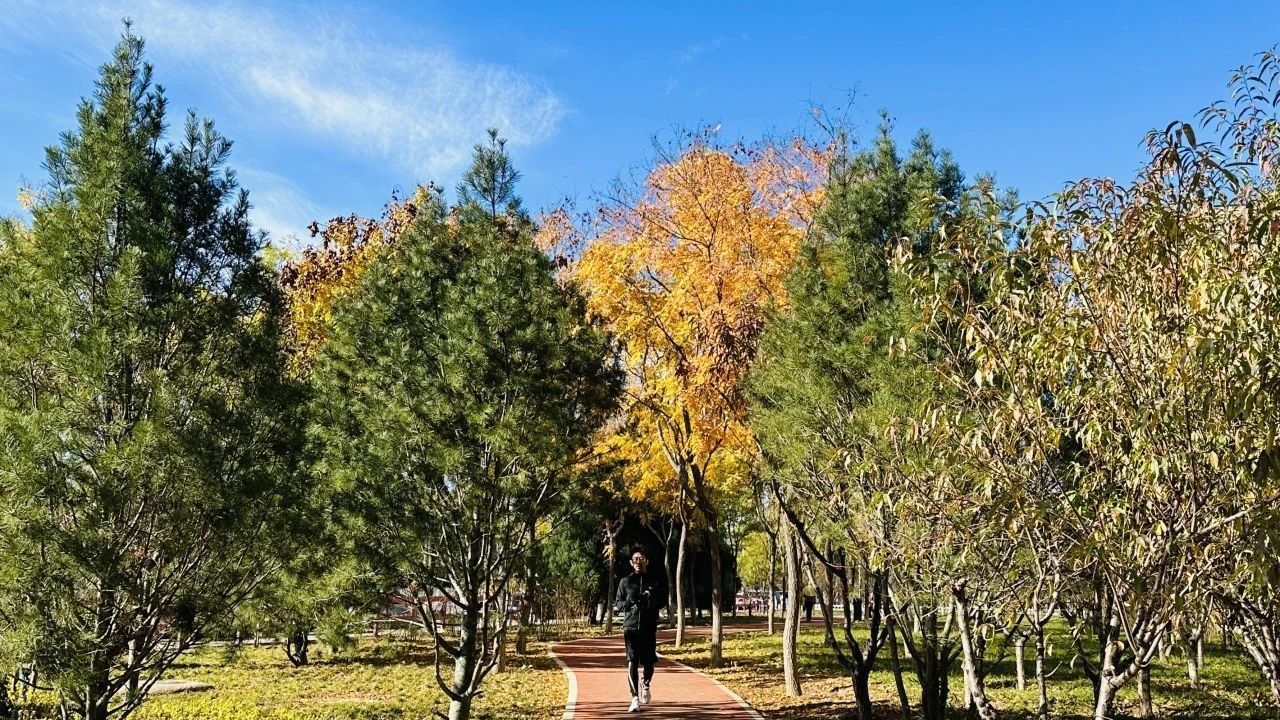 路边亦可游园!昌平区林荫大道建成投用—— 路边亦可游园!昌平区林荫大道建成投用——