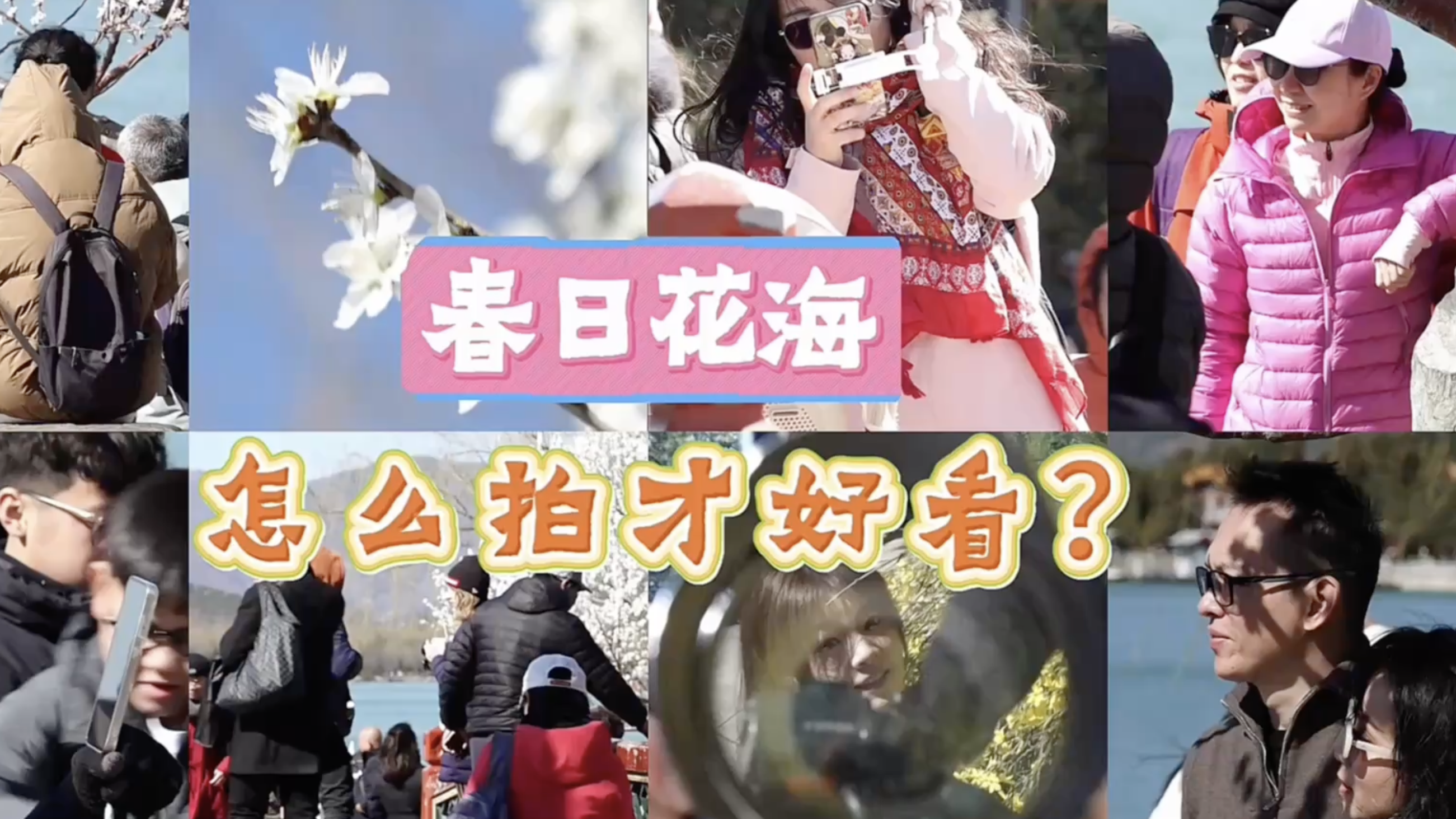 摄影师手把手教你“框”住春天