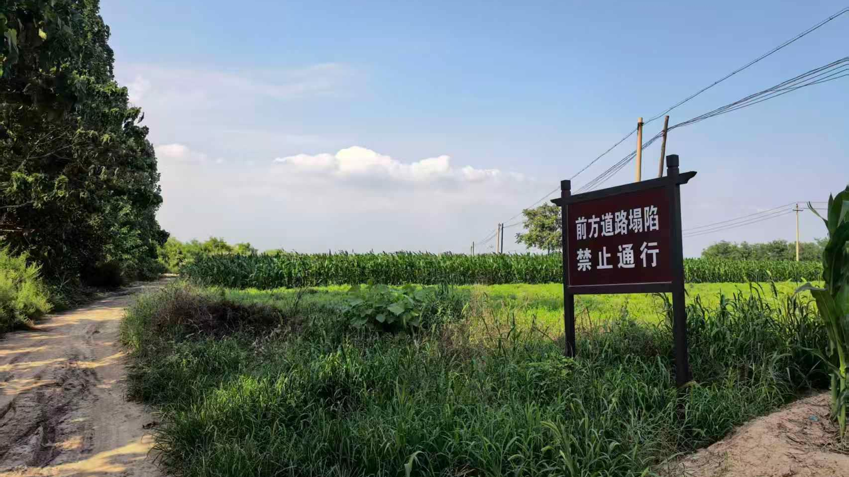 山西运城一路面塌陷处现大量白骨,系玉壁之战遗骸 山西运城一路面塌陷处现大量白骨,系玉壁之战遗骸