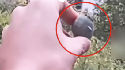 三名小学生带民警铲除罂粟