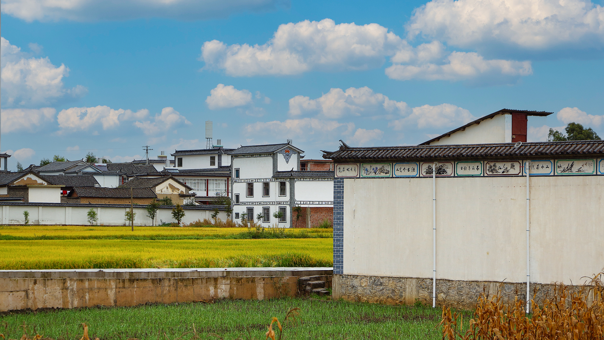 听说王昶想旅行?而且想来的是大理? 大理:安排! 听说王昶想旅行?而且想来的是大理? 大理:安排!