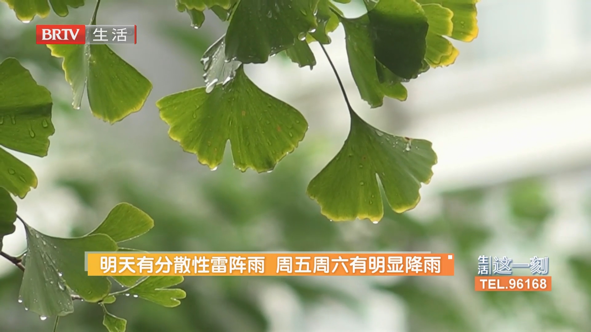 《生活这一刻》20260817