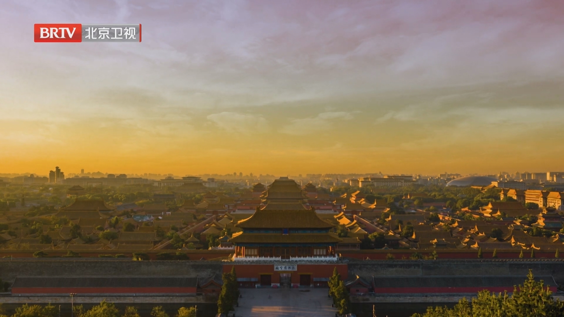 《向前一步》20250217“停”与“不停”之间