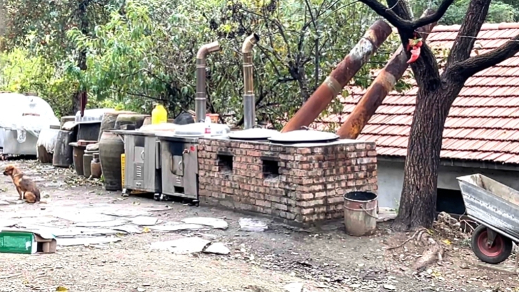 “东北雨姐”所售粉条厂家被停产停业、罚没671.76万元