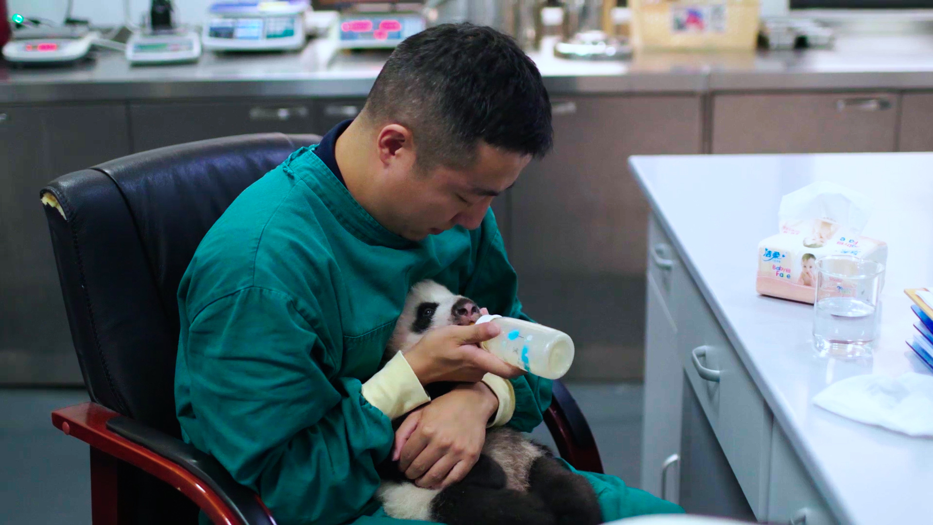 90后熊猫奶爸谢庆阳被粉丝叫做谢奶爸 90后熊猫奶爸谢庆阳被粉丝叫做谢奶爸