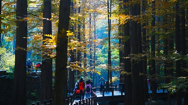北京周末好天气：公园赏秋正当时