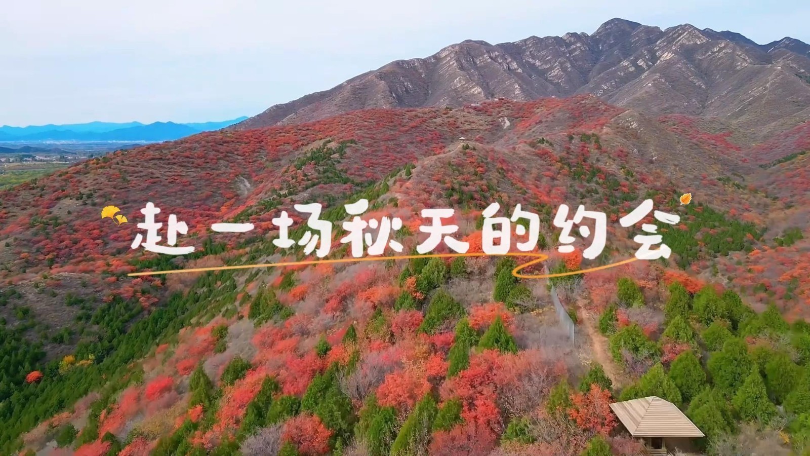 绿道赏秋促消费 舞彩浅山红叶季启幕