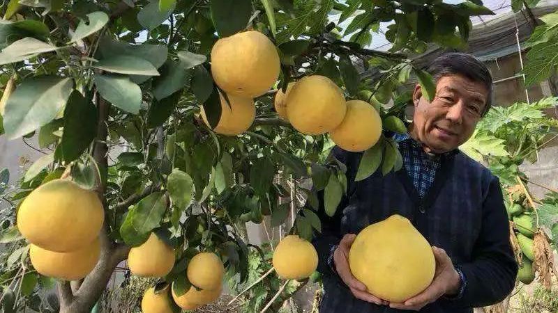 24年！他干成了一件事