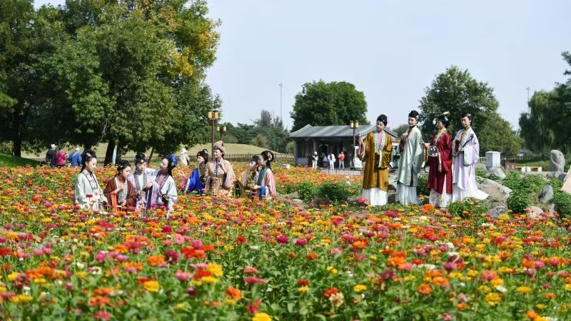 别只盯大水法!秋日的圆明园西部花海美成油画 别只盯大水法!秋日的圆明园西部花海美成油画