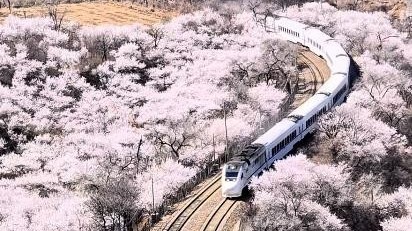 实拍开往春天的列车：北京S2线花都开好了！