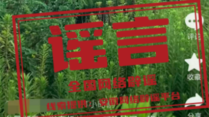 “台风吹落风力发电机的桨叶”不实 “台风吹落风力发电机的桨叶”不实